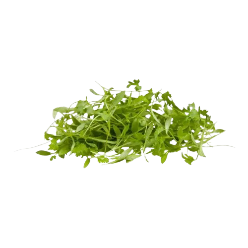 Cilantro Microgreens -100g
