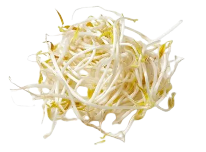 Golden Mung (microgreen) -100g